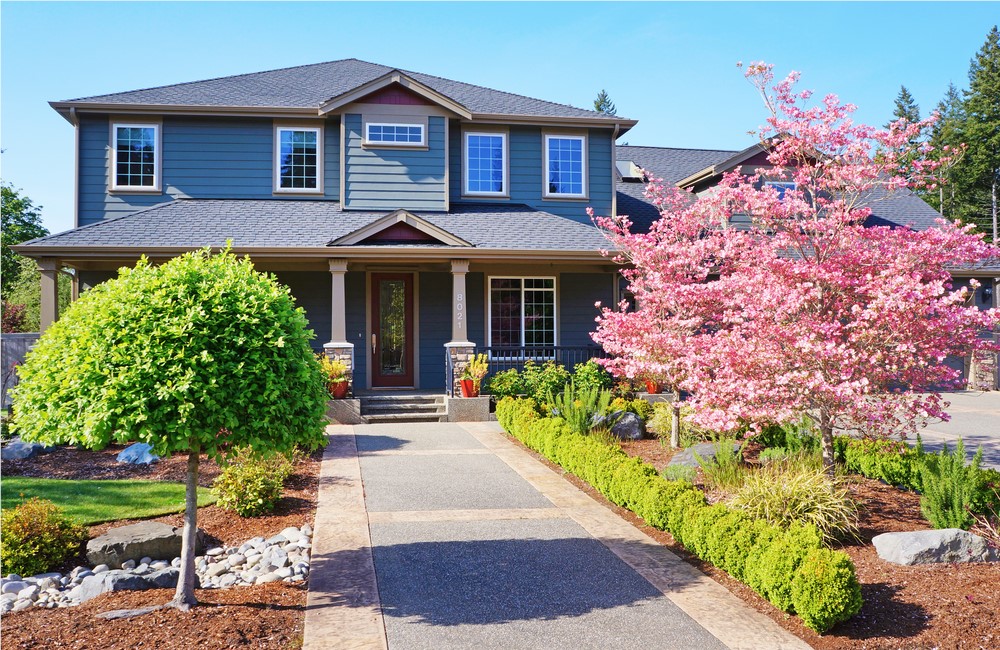 Roof Maintenance During Spring