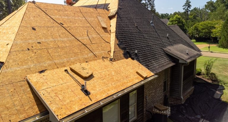 What Roof Care Steps Should You Take