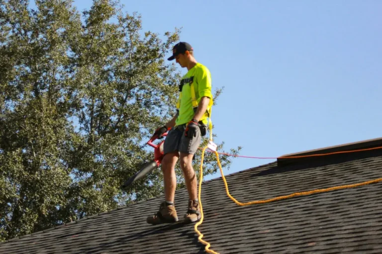 roof cleaning services